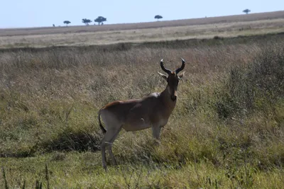 DSC_3938 (Large).JPG